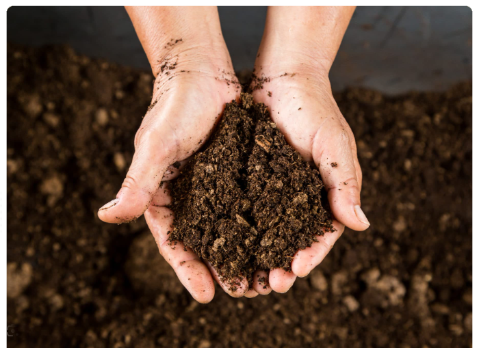 compost